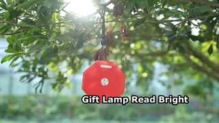 Cadeaulamp, leeslamp